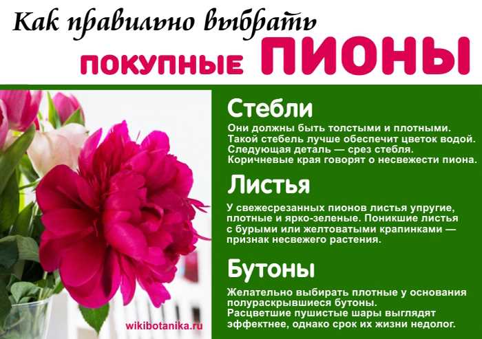 Правила