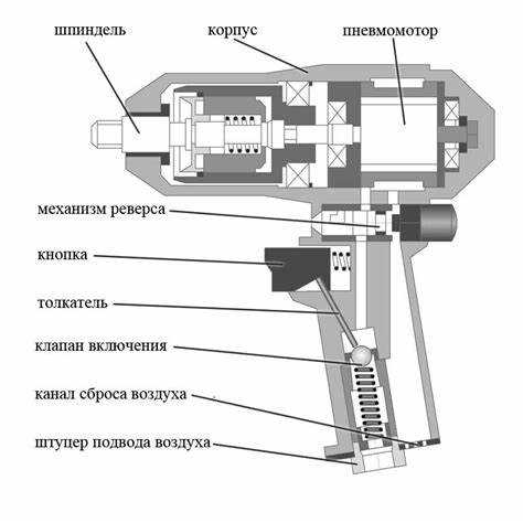 Основные