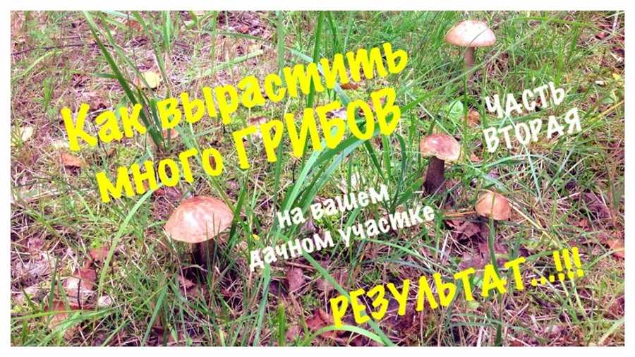 Подготовка