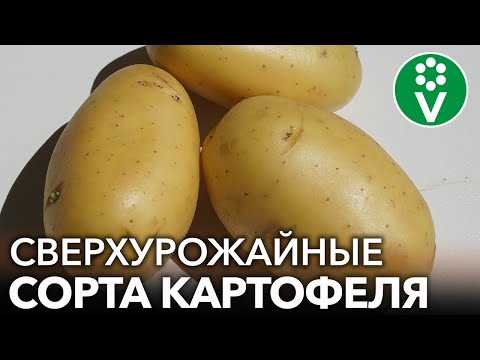 Приятный