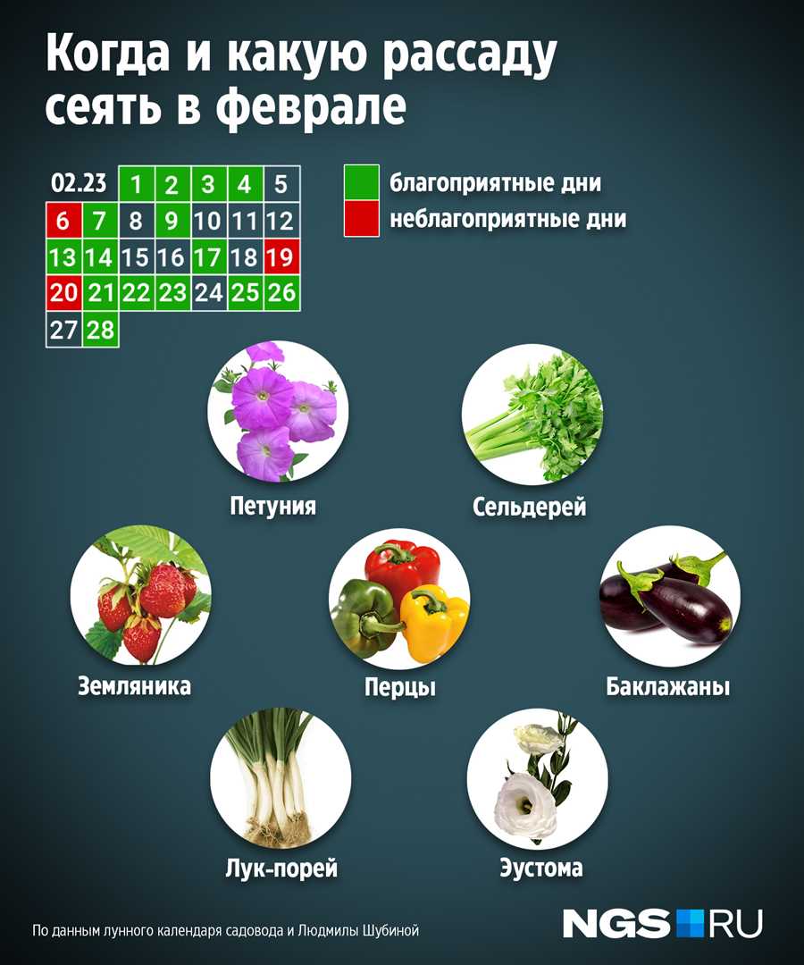 Лучший