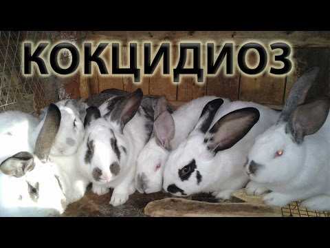 Профилактика