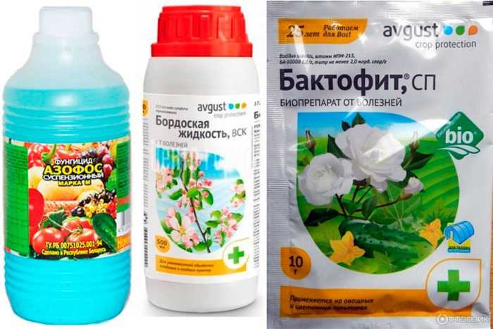 Эффективные масляные смеси для защиты от коррозии