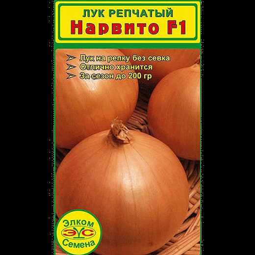Срок