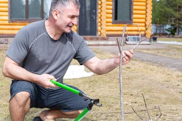 Подготовка к установке винтовых свай