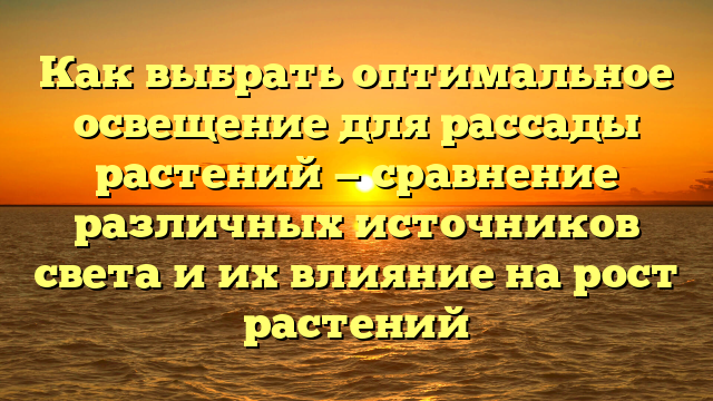 Как выбрать оптимальное освещение для рассады растений — сравнение различных источников света и их влияние на рост растений