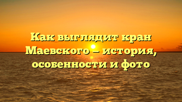 Как выглядит кран Маевского — история, особенности и фото
