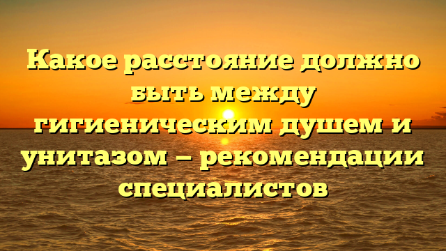 Какое расстояние должно быть между гигиеническим душем и унитазом — рекомендации специалистов