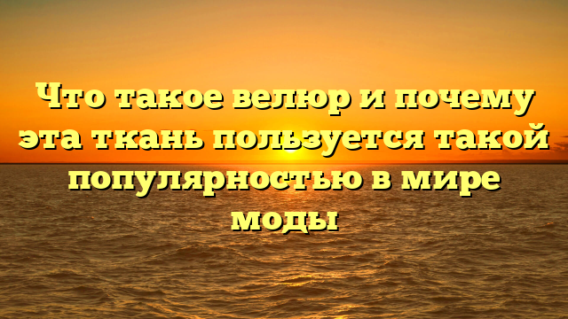 Что такое велюр и почему эта ткань пользуется такой популярностью в мире моды