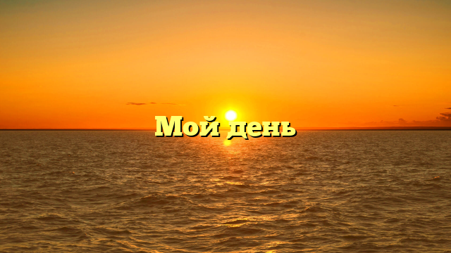 Мой день