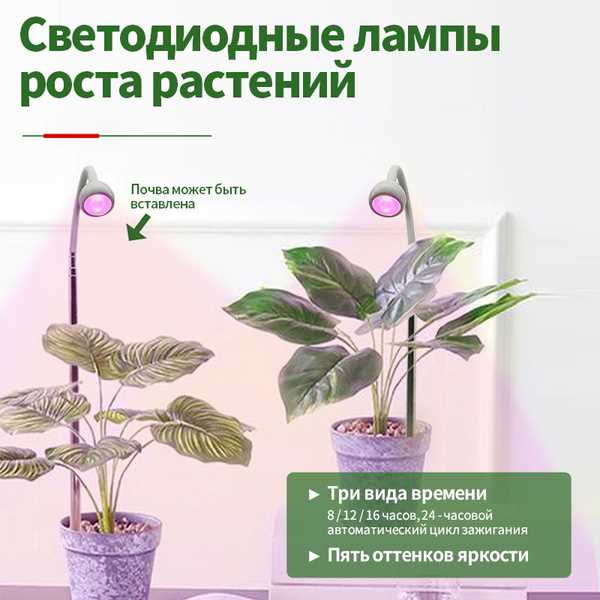 Красный свет для растений